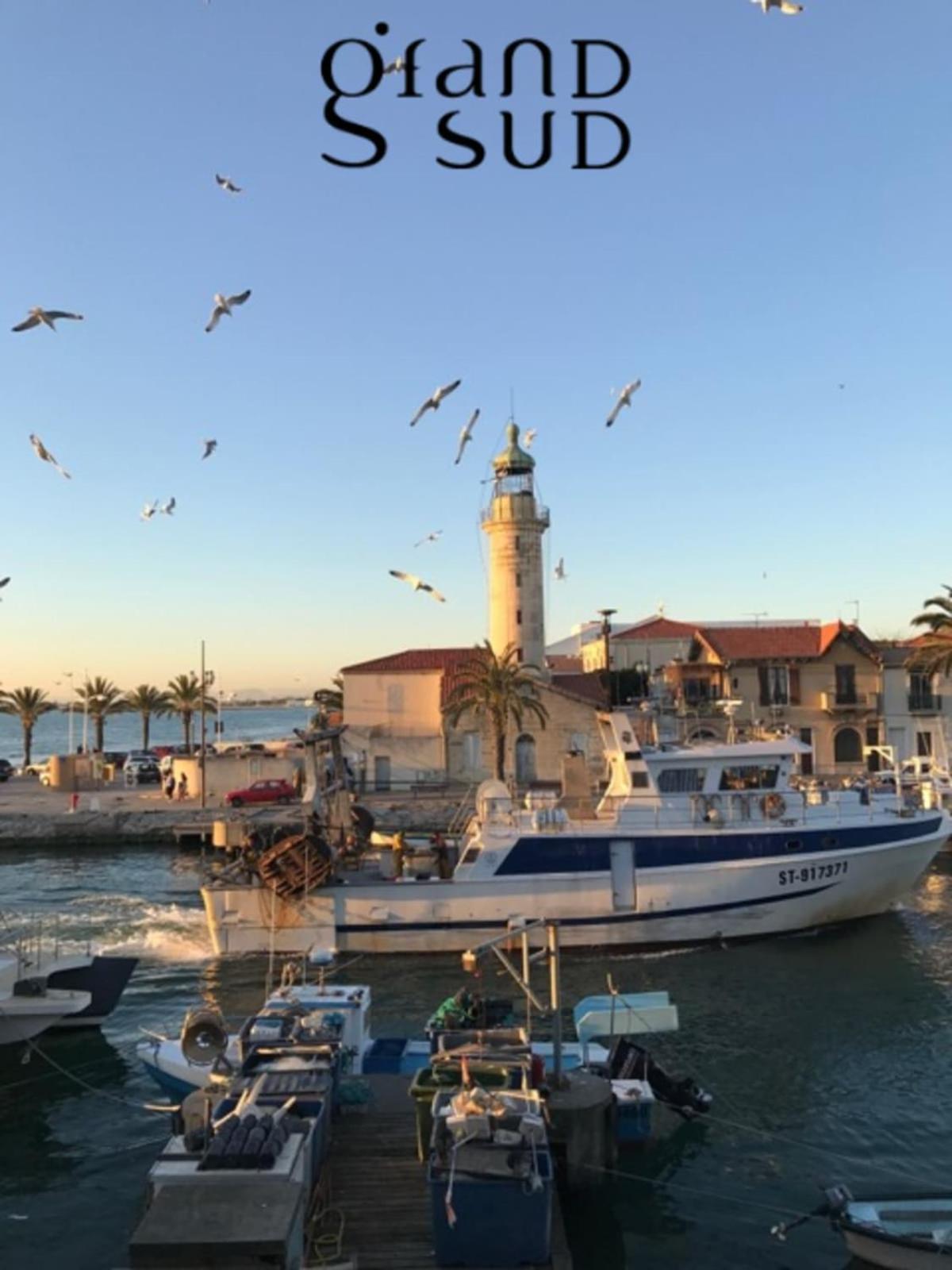 Appartement Mar E Souleu Avec Terrasse Et Vue Mer Au Grau Du Roi Le Grau-du-Roi Dış mekan fotoğraf